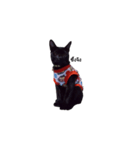 black cat1（個別スタンプ：3）