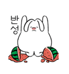 Pig rabbit Jjinto（個別スタンプ：11）