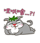 Tomato Cat Daily Part 1（個別スタンプ：35）