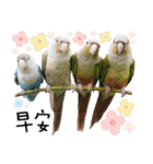 Delighted Parrots（個別スタンプ：2）