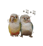 Delighted Parrots（個別スタンプ：23）