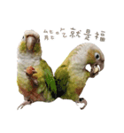 Delighted Parrots（個別スタンプ：27）