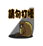 Baboon（個別スタンプ：1）