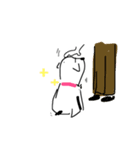 Whitie dog（個別スタンプ：6）