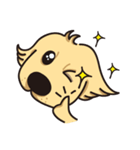 Golden retriever-Bear in Japan（個別スタンプ：6）