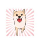 Our funny Shiba Inu！（個別スタンプ：7）