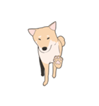 Our funny Shiba Inu！（個別スタンプ：26）