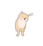 Our funny Shiba Inu！（個別スタンプ：32）