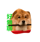 chowchow Polly 2（個別スタンプ：14）