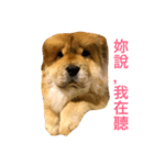 The chowchow Polly（個別スタンプ：8）