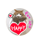 my happy for you（個別スタンプ：1）
