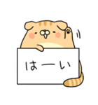 メモねこズ（個別スタンプ：5）