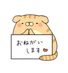 メモねこズ（個別スタンプ：11）