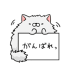 メモねこズ（個別スタンプ：27）