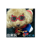 Vip Dog gucci 1010（個別スタンプ：10）