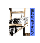 気ままな猫達2（個別スタンプ：40）