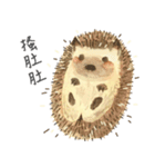 Puff is hedgehog（個別スタンプ：3）