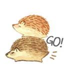 Puff is hedgehog（個別スタンプ：6）