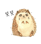 Puff is hedgehog（個別スタンプ：7）