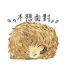 Puff is hedgehog（個別スタンプ：10）