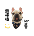 Daily Life of French Bulldog Mabo（個別スタンプ：40）