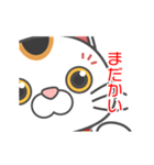 招き猫ちゃんスタンプ（個別スタンプ：16）