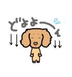 わんとも②（個別スタンプ：13）