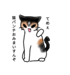 Invective cat Choko（個別スタンプ：1）