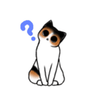 Invective cat Choko（個別スタンプ：5）