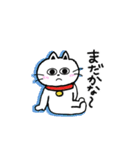 待ってるねこ（個別スタンプ：1）