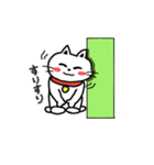 待ってるねこ（個別スタンプ：16）