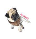 I'm Pug.（個別スタンプ：3）