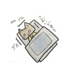 子猫みぃちゃんスタンプ（個別スタンプ：24）