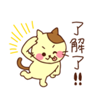 可愛い猫ちゃん(台湾語)（個別スタンプ：10）