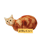 RuiMeiCAT（個別スタンプ：8）