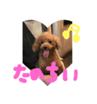 愛犬モコのスタンプmoco2（個別スタンプ：22）