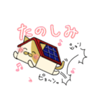 きりにゃん 太陽光発電ねこ（個別スタンプ：16）