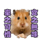 Golden Hamster~MoMoJai~ 5（個別スタンプ：15）