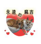 my cute baby dogs（個別スタンプ：24）