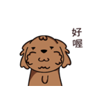 Poodle uncle - chocolate 1（個別スタンプ：9）