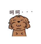 Poodle uncle - chocolate 1（個別スタンプ：15）