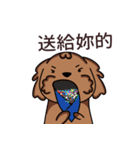 Poodle uncle - chocolate 1（個別スタンプ：22）