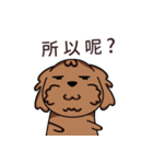 Poodle uncle - chocolate 1（個別スタンプ：31）