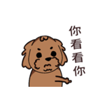 Poodle uncle - chocolate 1（個別スタンプ：32）