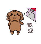 Poodle uncle - chocolate 1（個別スタンプ：37）