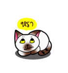 Mungmee little cat（個別スタンプ：11）