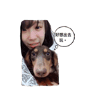 Dachshund -Quiche（個別スタンプ：10）