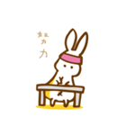 rabbit pregnant（個別スタンプ：29）