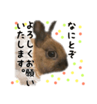 Convenient honorific and The tote rabbit（個別スタンプ：11）