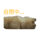 Smile DogDog（個別スタンプ：7）